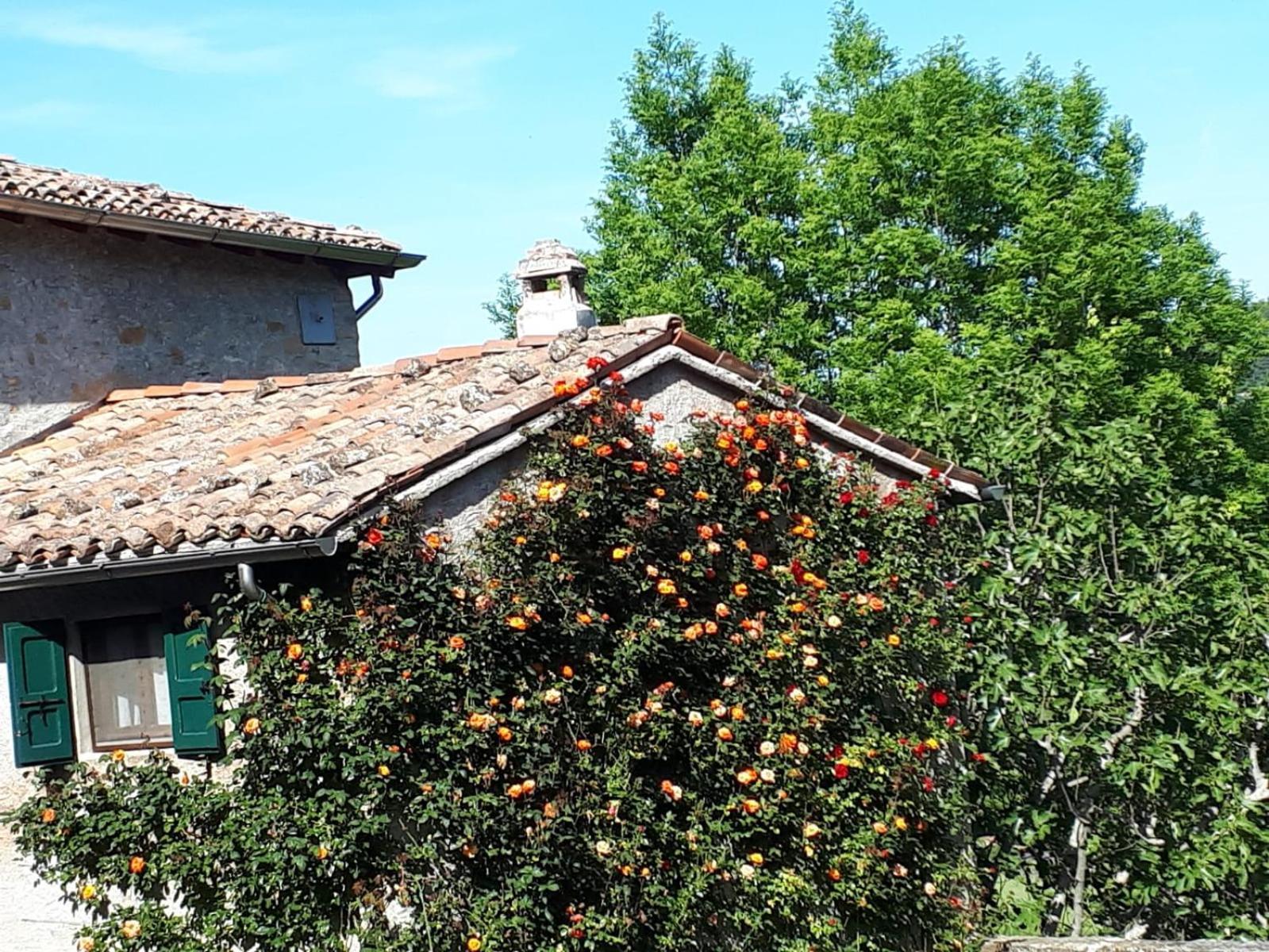 Bed and Breakfast La Corte Bonomini Neviano degli Arduini Exterior foto