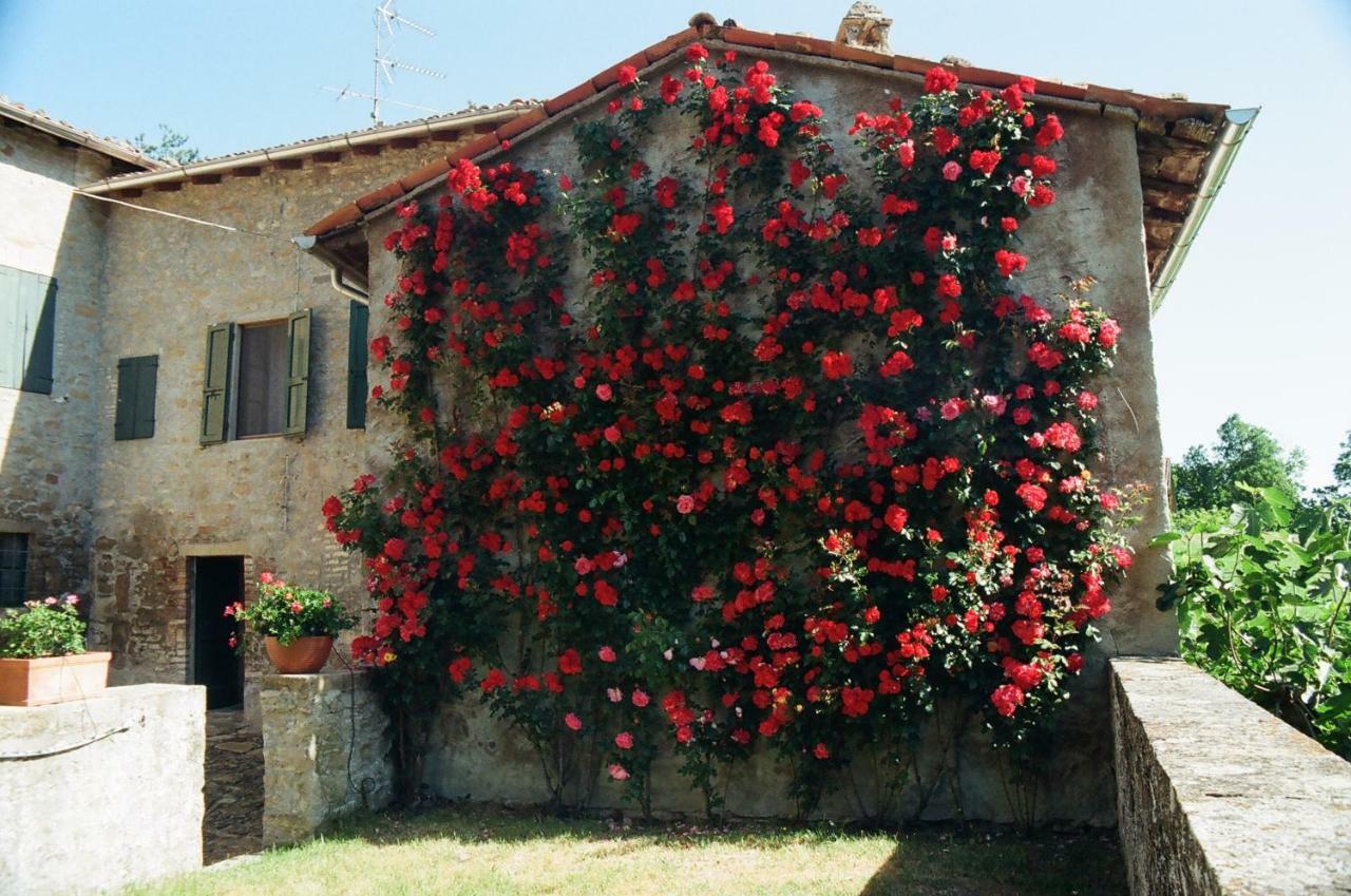 Bed and Breakfast La Corte Bonomini Neviano degli Arduini Exterior foto