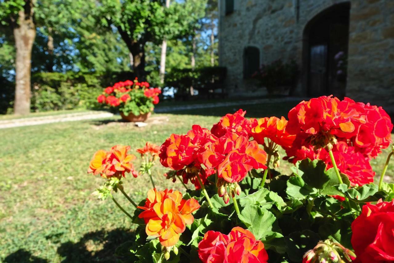 Bed and Breakfast La Corte Bonomini Neviano degli Arduini Exterior foto